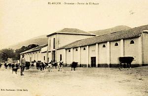 EL ANCOR 05